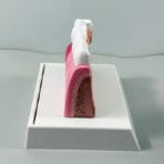 Tooth Anatomy Model with Nerve Distribution - Dental Pulp & Nerve Highlighted Cross-Section for Patient Education & Teaching - Image 4