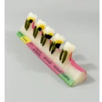 Periodontal Disease Progression Model - 5 Stages: Normal, Gingivitis, Early/Moderate/Advanced Periodontitis & Occlusal Trauma for Patient Education - Image 4