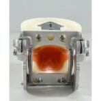 Pediatric Tooth Preparation Model for Crowns - Children's Deciduous Teeth Prep with Screws, Crowns & Screwdriver for Education - Image 3