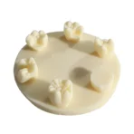 Dental Filling Practice Model - Composite & Amalgam Restoration Teeth Blocks with Prepped Cavities for Student Exam Training - Image 5