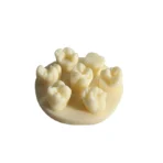Dental Filling Practice Model - Composite & Amalgam Restoration Teeth Blocks with Prepped Cavities for Student Exam Training - Image 6
