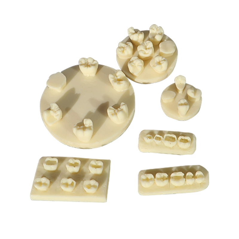 Dental Filling Practice Model - Composite & Amalgam Restoration Teeth Blocks with Prepped Cavities for Student Exam Training